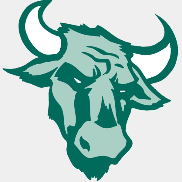 AR BULL 37 RC Thumbnail