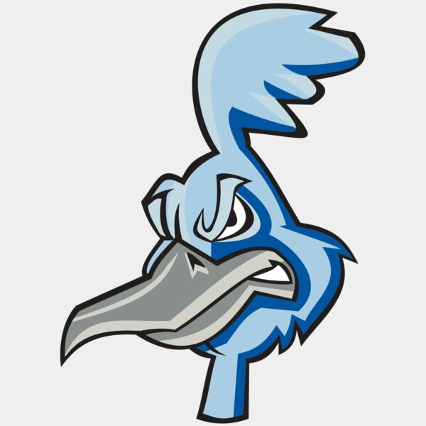 ROADRUNNER HD0501 RQC Thumbnail