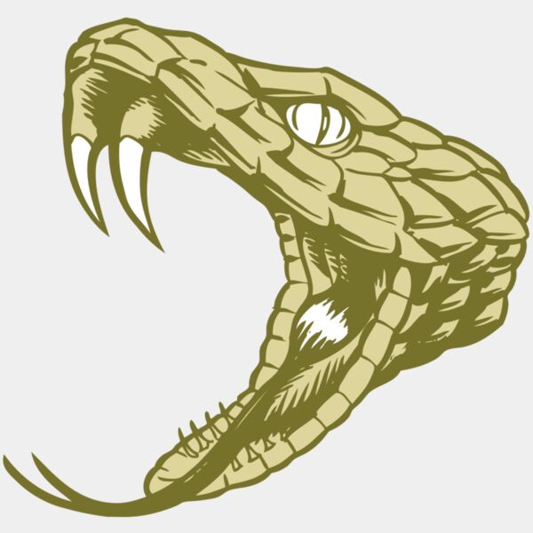 BAW SNAKE 11 RC Thumbnail